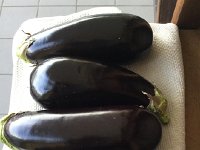 2017-04-15 08-20-39 57a93707  raw materials for upcoming feed